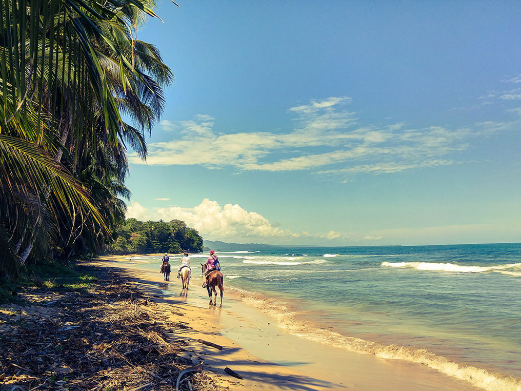 Image of people Horseback Riding by the beach